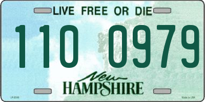 NH license plate 1100979