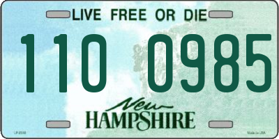NH license plate 1100985