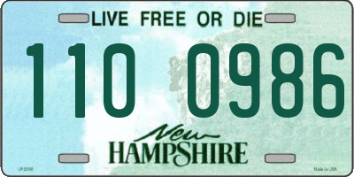 NH license plate 1100986