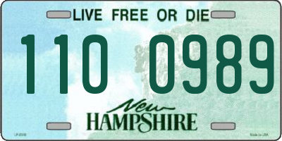 NH license plate 1100989