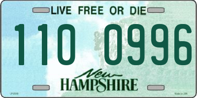 NH license plate 1100996