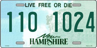 NH license plate 1101024