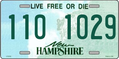 NH license plate 1101029