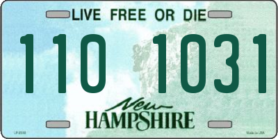 NH license plate 1101031