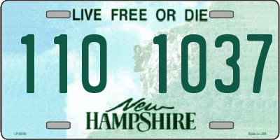 NH license plate 1101037