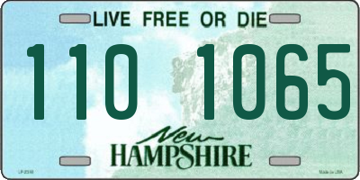 NH license plate 1101065