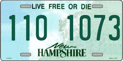 NH license plate 1101073