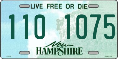 NH license plate 1101075