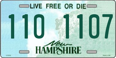 NH license plate 1101107