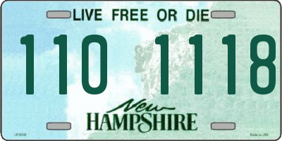 NH license plate 1101118