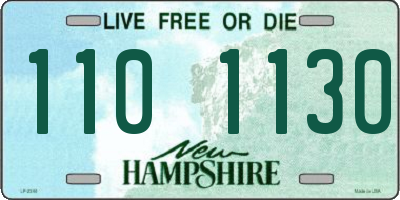 NH license plate 1101130