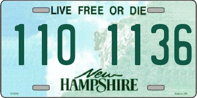 NH license plate 1101136
