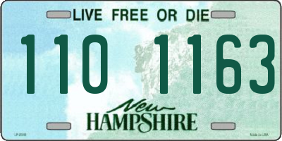 NH license plate 1101163