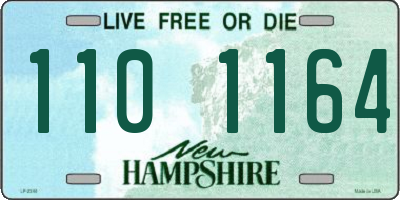 NH license plate 1101164
