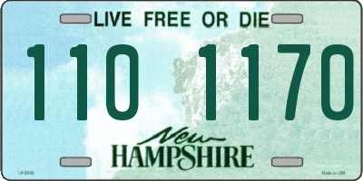 NH license plate 1101170