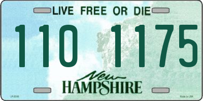 NH license plate 1101175