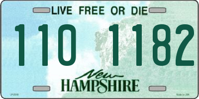 NH license plate 1101182