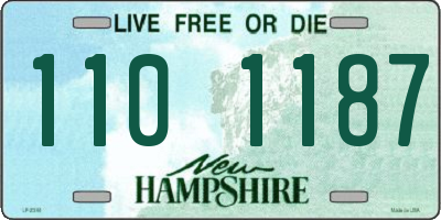 NH license plate 1101187