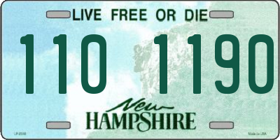 NH license plate 1101190