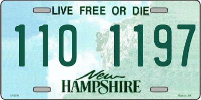 NH license plate 1101197