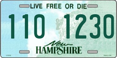 NH license plate 1101230