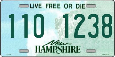 NH license plate 1101238