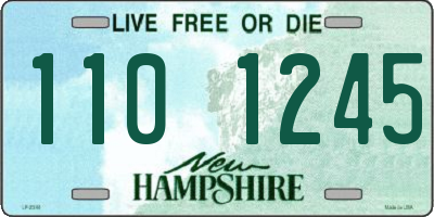 NH license plate 1101245