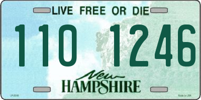 NH license plate 1101246