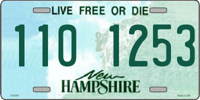 NH license plate 1101253