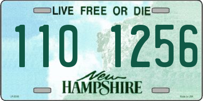 NH license plate 1101256