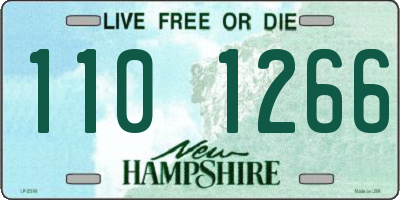 NH license plate 1101266