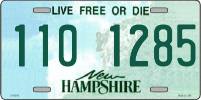 NH license plate 1101285