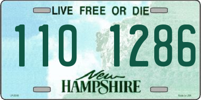 NH license plate 1101286