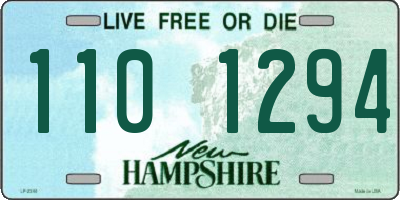NH license plate 1101294
