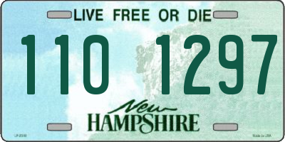 NH license plate 1101297