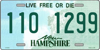 NH license plate 1101299