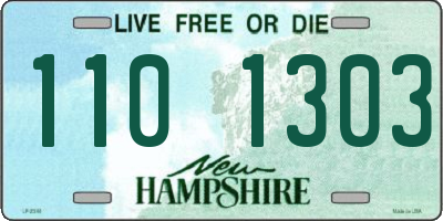 NH license plate 1101303