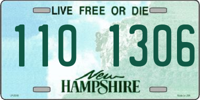NH license plate 1101306