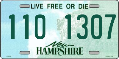 NH license plate 1101307
