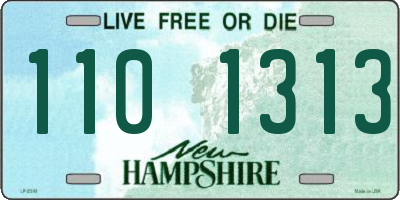 NH license plate 1101313