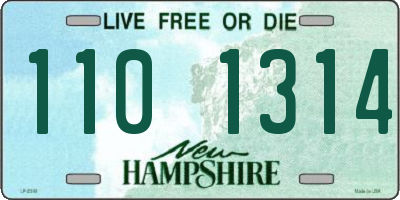 NH license plate 1101314