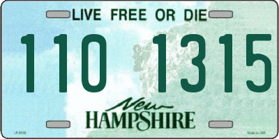 NH license plate 1101315