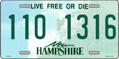 NH license plate 1101316
