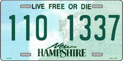 NH license plate 1101337
