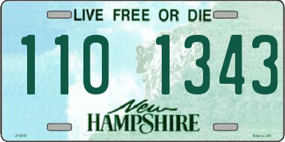 NH license plate 1101343