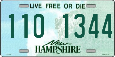 NH license plate 1101344