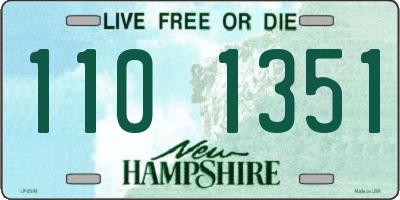 NH license plate 1101351