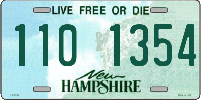 NH license plate 1101354