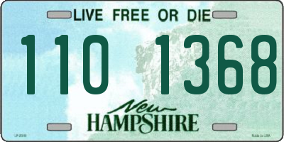 NH license plate 1101368