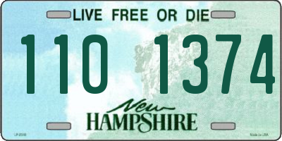 NH license plate 1101374